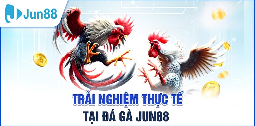 Trải nghiệm thực tế tại Đá gà Jun88